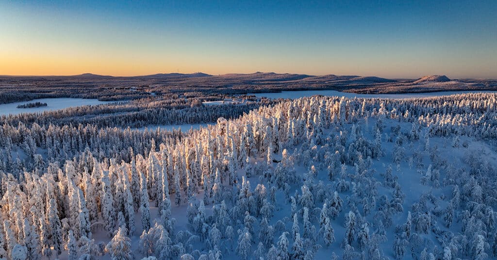 Snöigt landskap i Norrbotten där vi arbetar med ADHD-utredning.