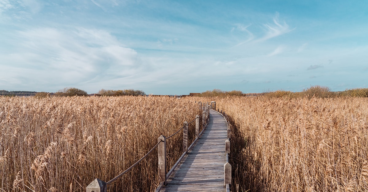Bild från Skåne där vi gör utredningar av ADHD.