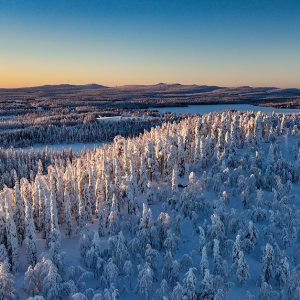 Snöigt landskap i Norrbotten där vi arbetar med ADHD-utredning.
